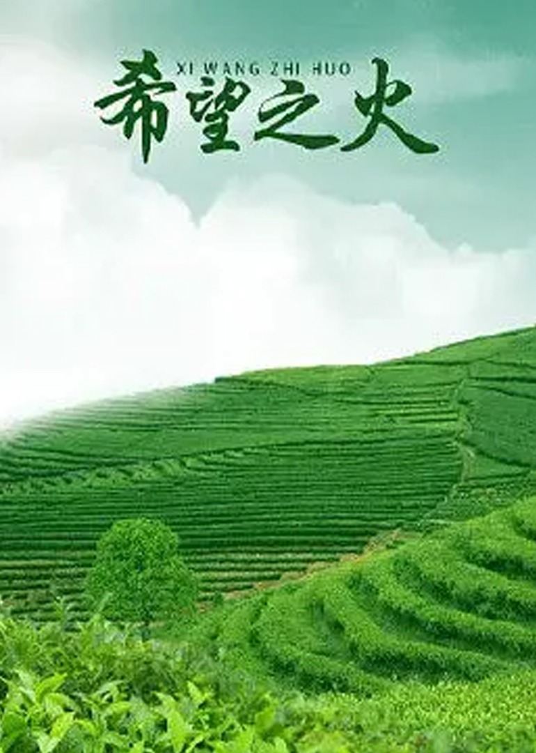 希望之火(全集)