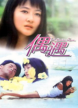 偶遇(全集)